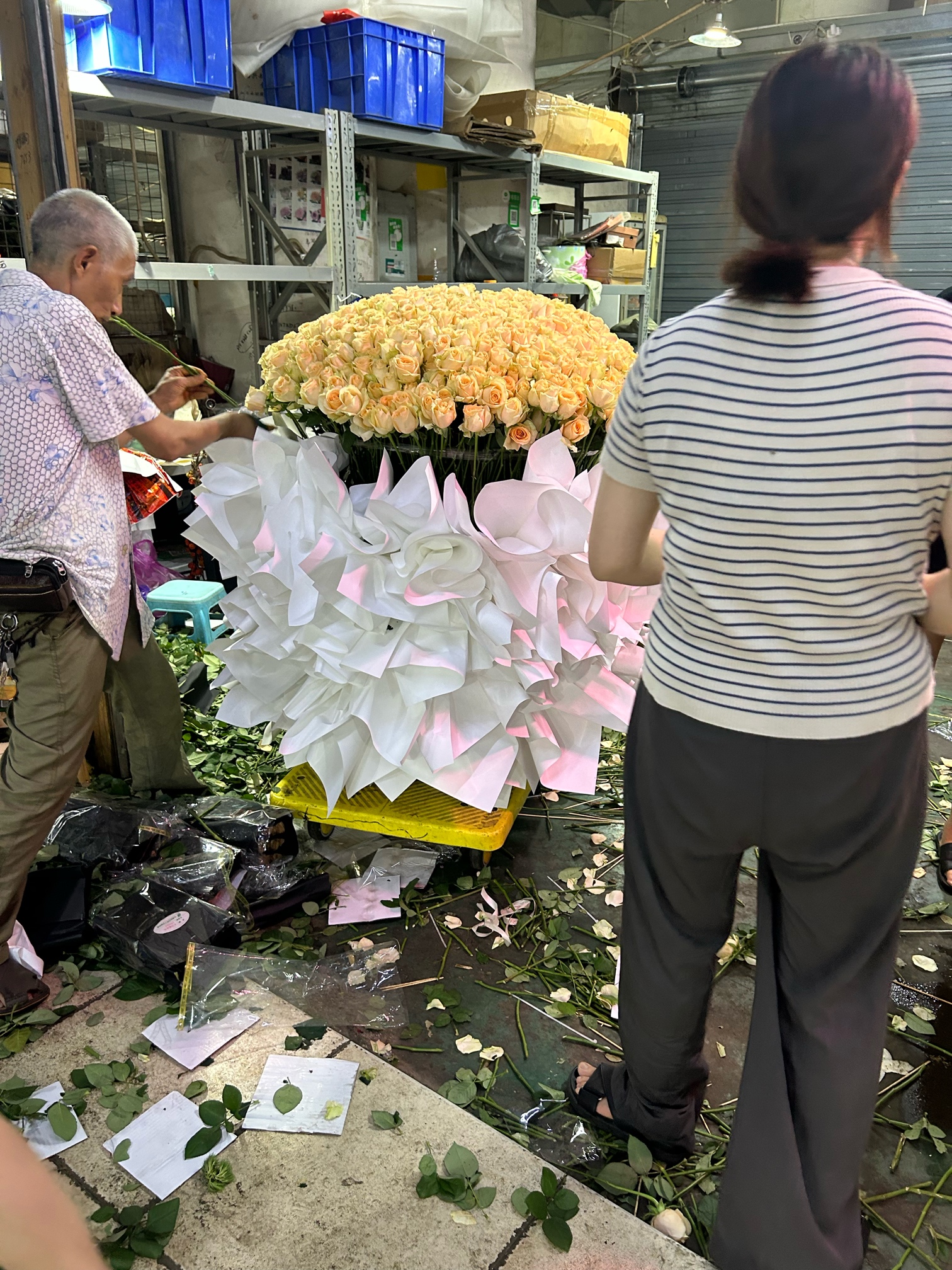 999玫瑰824 / 作者:X-小凡 / 帖子ID:309746