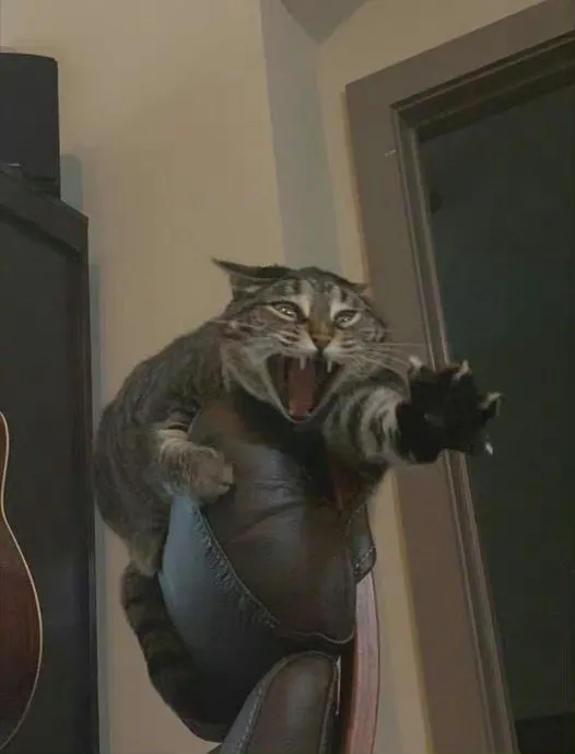 五魁首啊！778 / 作者:猛龙 / 帖子ID:309872