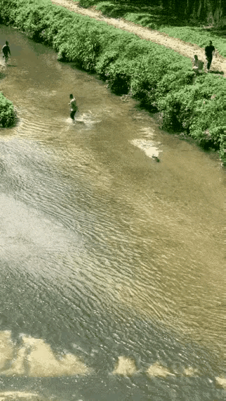 鱼：幸亏我跑得快，吓死人了888 / 作者:猛龙 / 帖子ID:310322