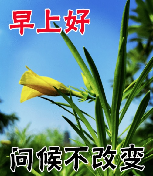 继续呼吁，懂的自然懂：397 / 作者:横财神. / 帖子ID:310619