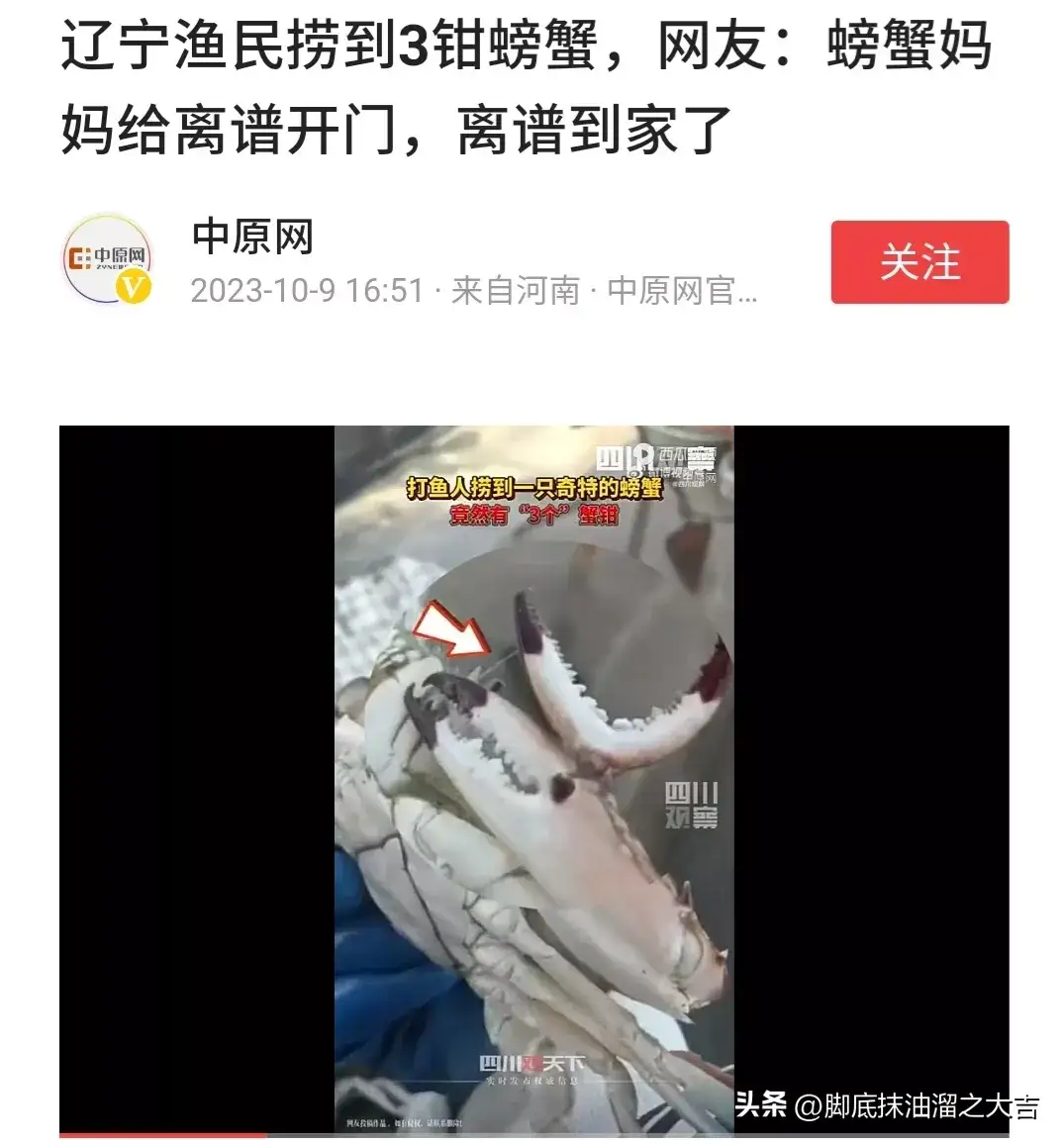 有三个钳子的螃海813 / 作者:猛龙 / 帖子ID:310971