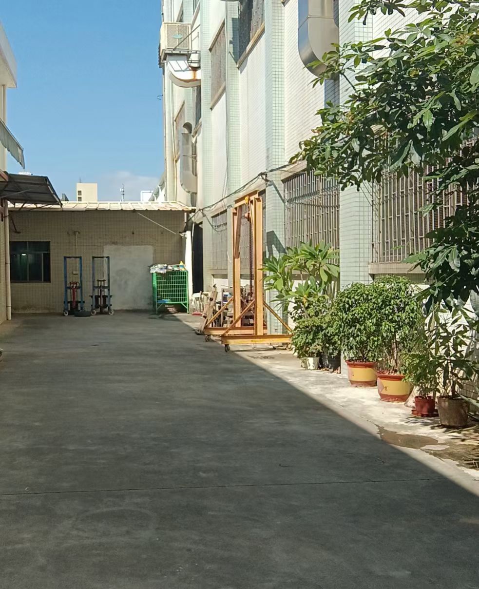 凉快的天气，舒适。553 / 作者:横财神. / 帖子ID:311007