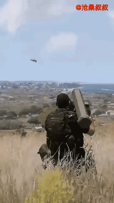 事不过三660 / 作者:猛龙 / 帖子ID:311052