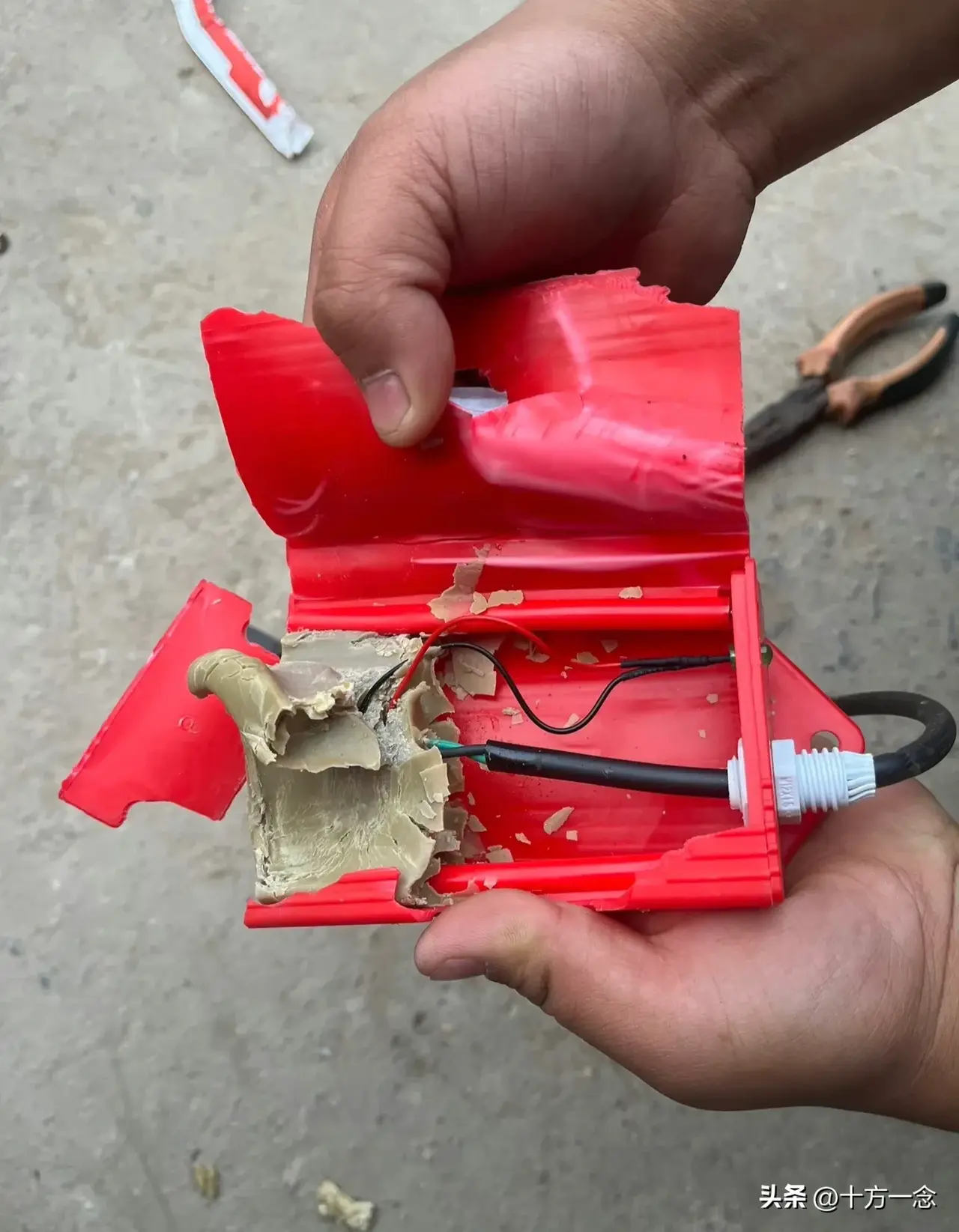 妥妥的智商税985 / 作者:猛龙 / 帖子ID:311451