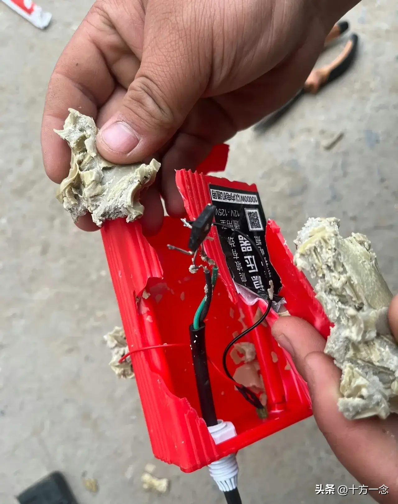 妥妥的智商税498 / 作者:猛龙 / 帖子ID:311451