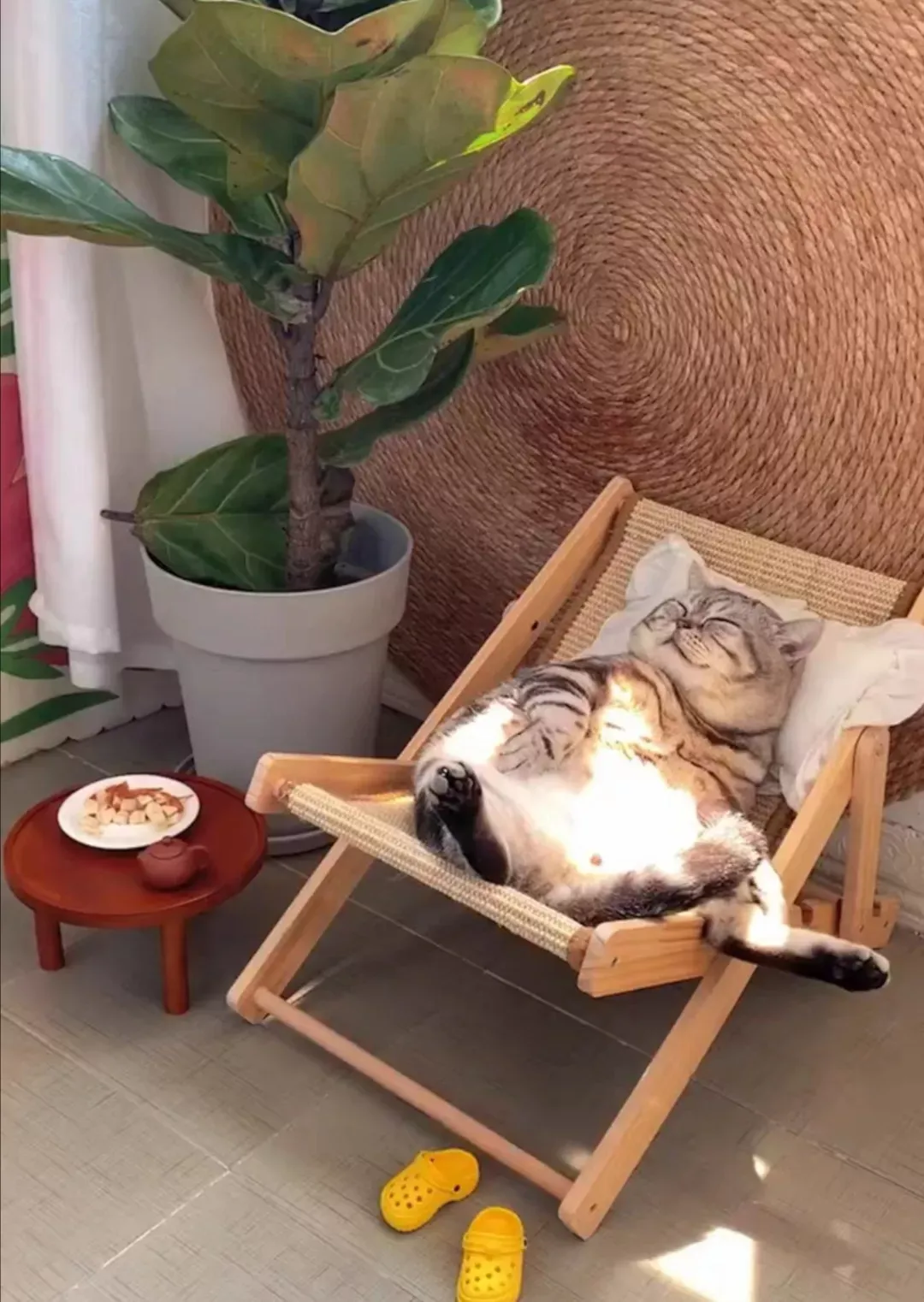 告告！晚安104 / 作者:猛龙 / 帖子ID:311583