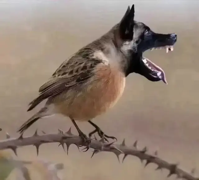 敌对资本无孔不入57 / 作者:猛龙 / 帖子ID:311758