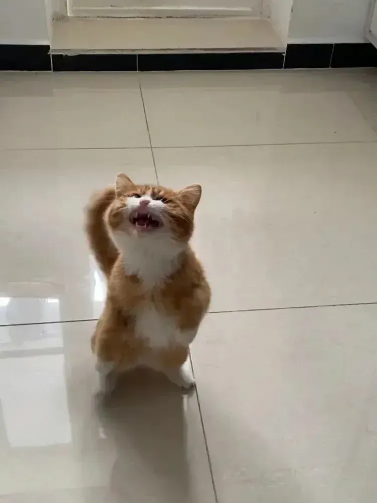 我！要！吃！饭！902 / 作者:猛龙 / 帖子ID:311772