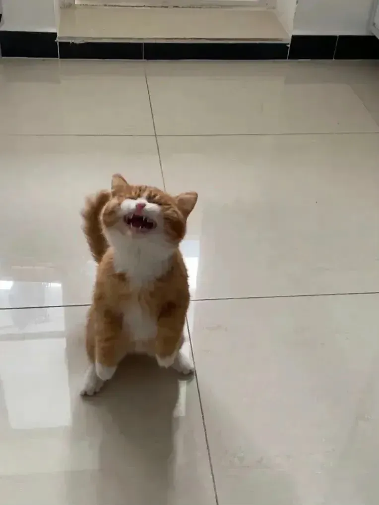 我！要！吃！饭！850 / 作者:猛龙 / 帖子ID:311772