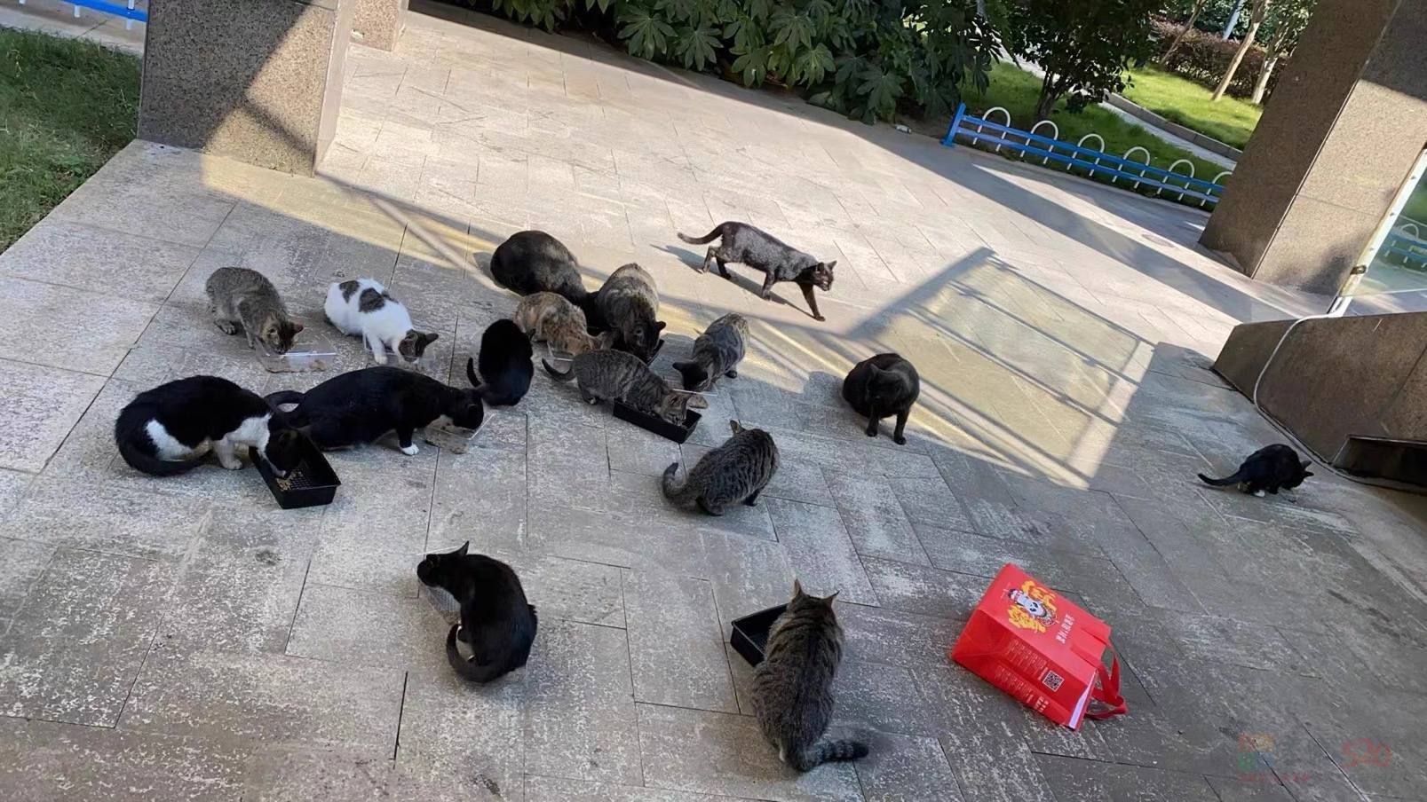 如果这是你的小区，你会炸毛吗？492 / 作者:幸福341 / 帖子ID:311992