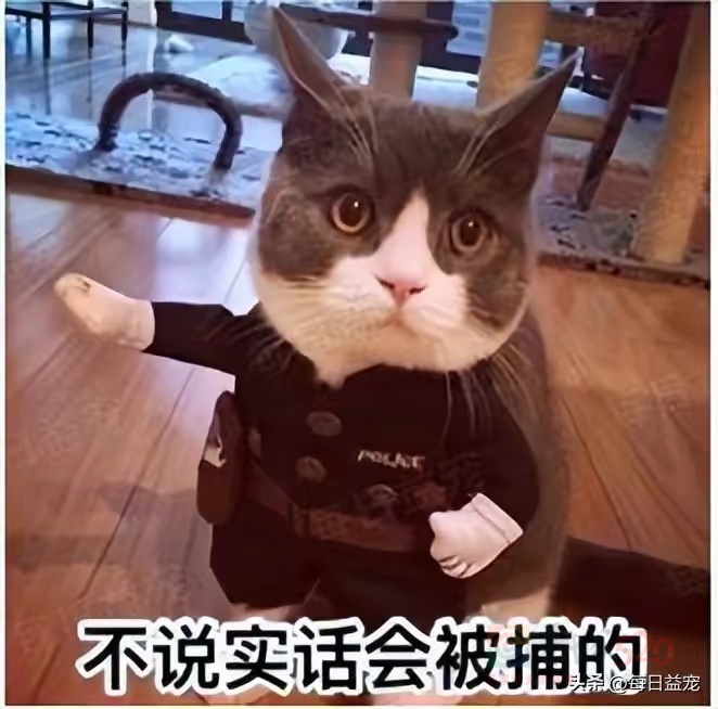 告告！晚安389 / 作者:猛龙 / 帖子ID:312113