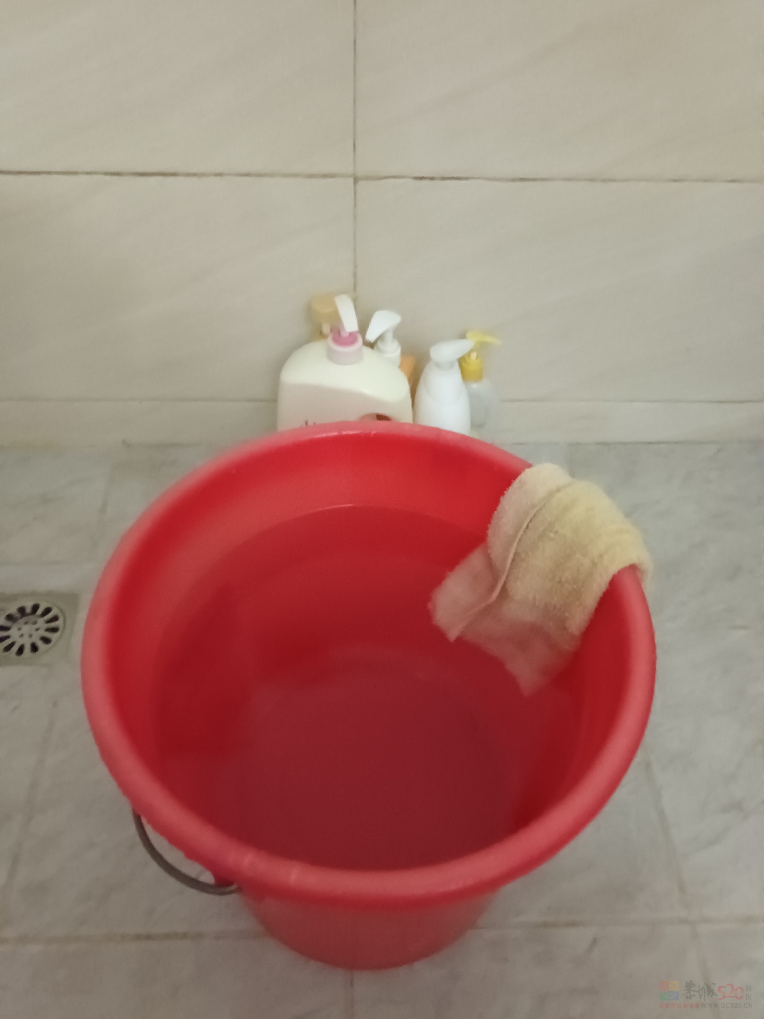 天气冷，有点不想冲凉的感觉。45 / 作者:横财神. / 帖子ID:312619