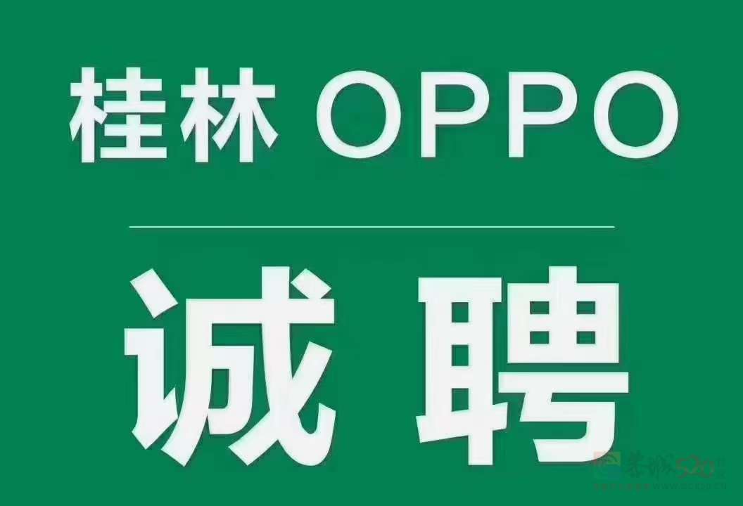 OPPO招聘664 / 作者:Y。 / 帖子ID:312795 OPPO招聘664 / 作者:Y。 / 帖子ID:312795