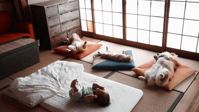 告告！晚安807 / 作者:猛龙 / 帖子ID:313027