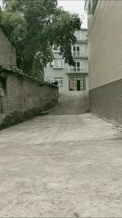 希望大家2024年挣的钞票如同这红水546 / 作者:猛龙 / 帖子ID:313345