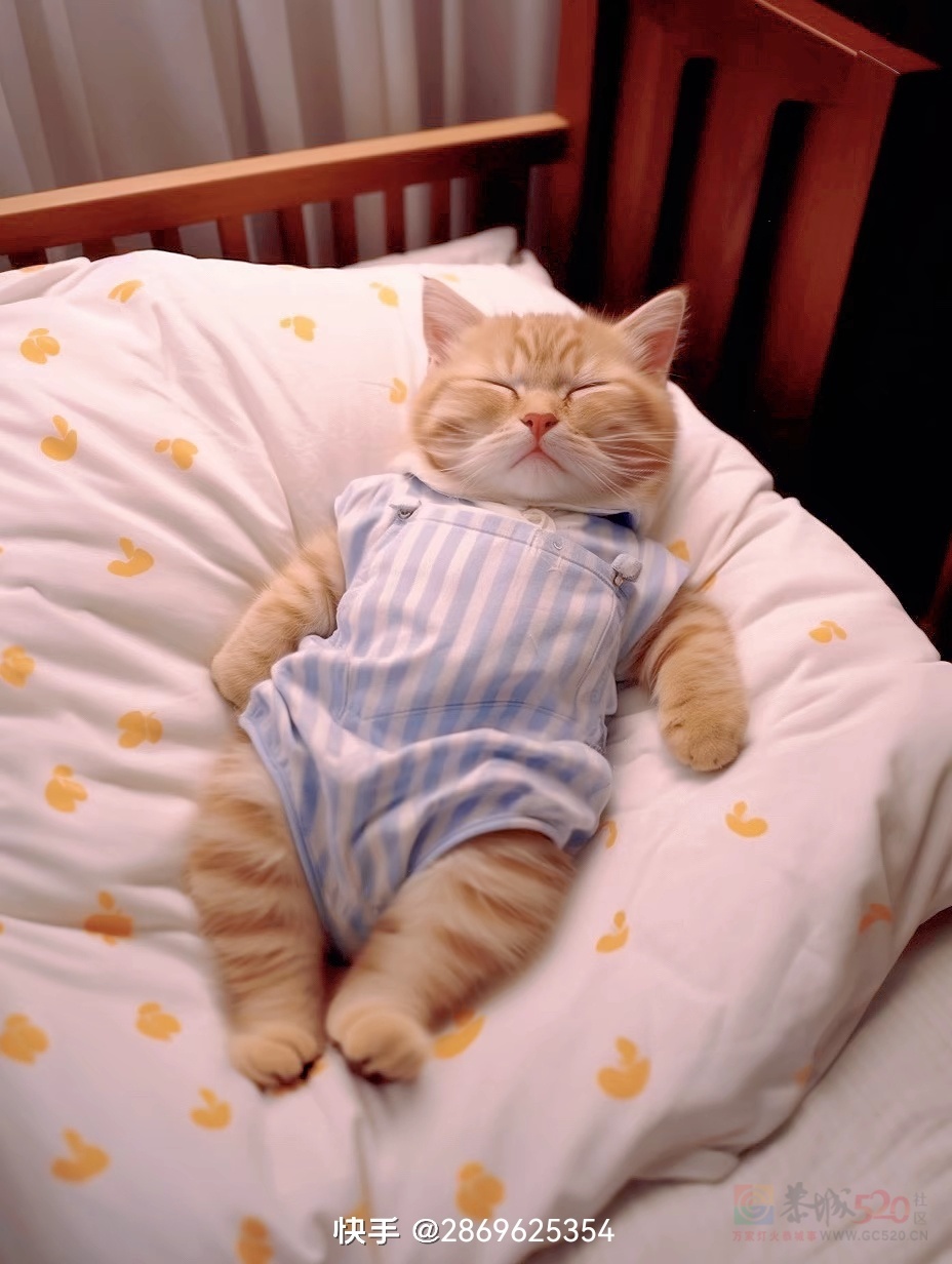 告告！晚安166 / 作者:猛龙 / 帖子ID:314611