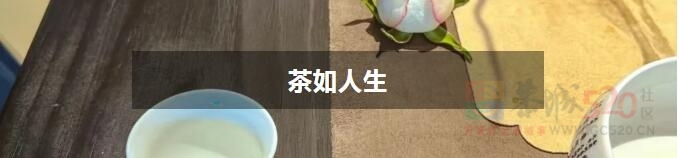 万物小得盈满，一切恰逢其时521 / 作者:时间果 / 帖子ID:315284