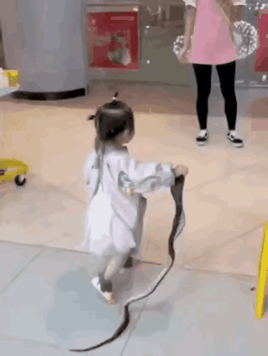 胆真肥188 / 作者:猛龙 / 帖子ID:315389