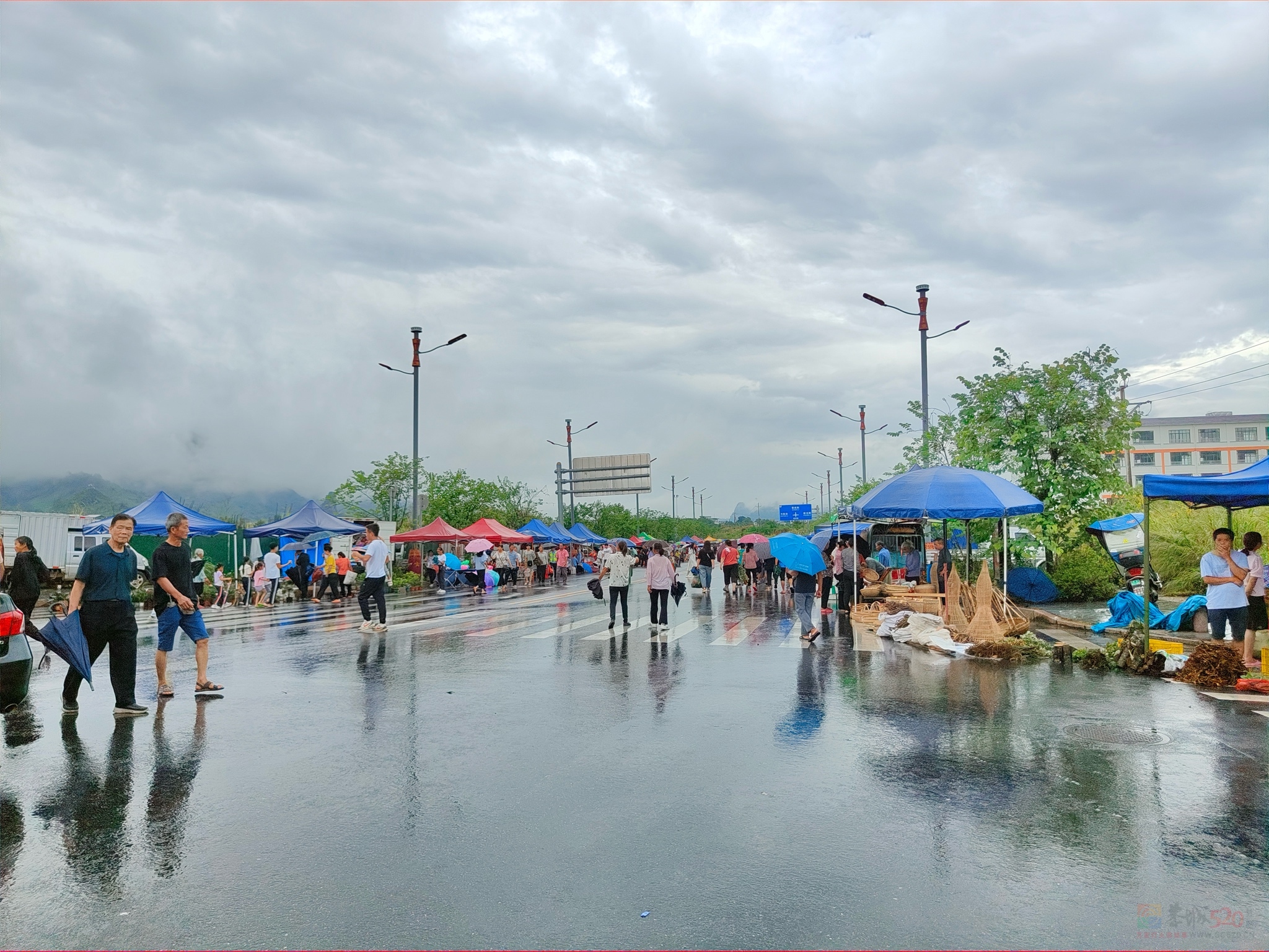 下雨端午文化节还那么多人958 / 作者:清风哥 / 帖子ID:315617