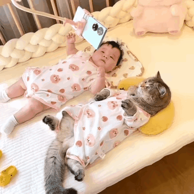 告告！晚安258 / 作者:猛龙 / 帖子ID:315642