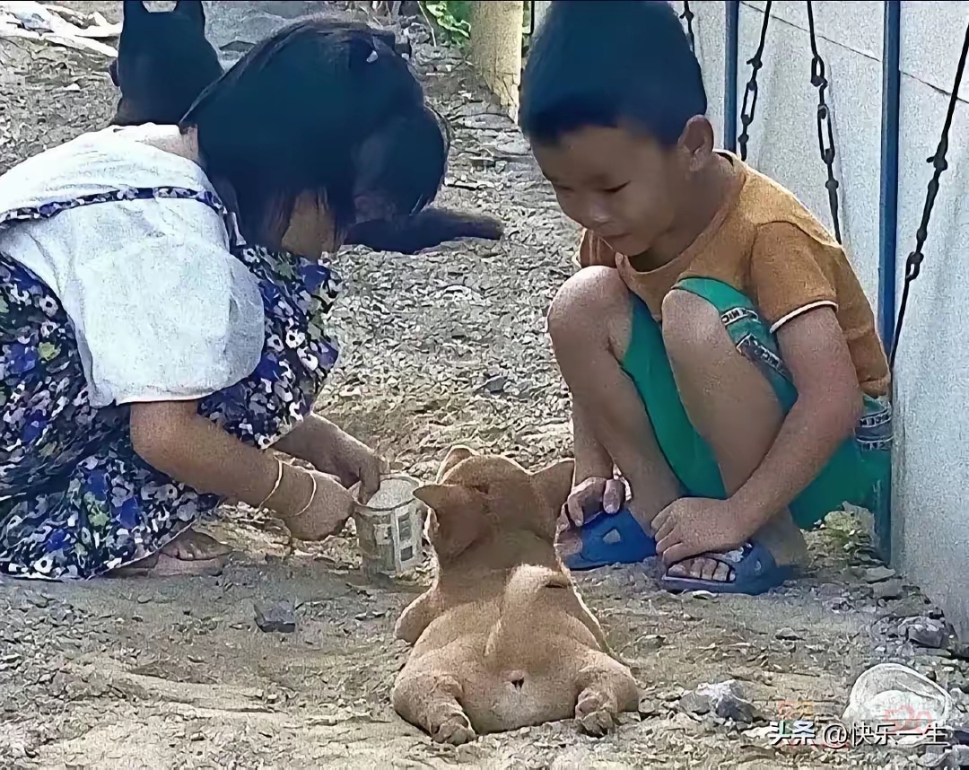 告告！晚安237 / 作者:猛龙 / 帖子ID:315642