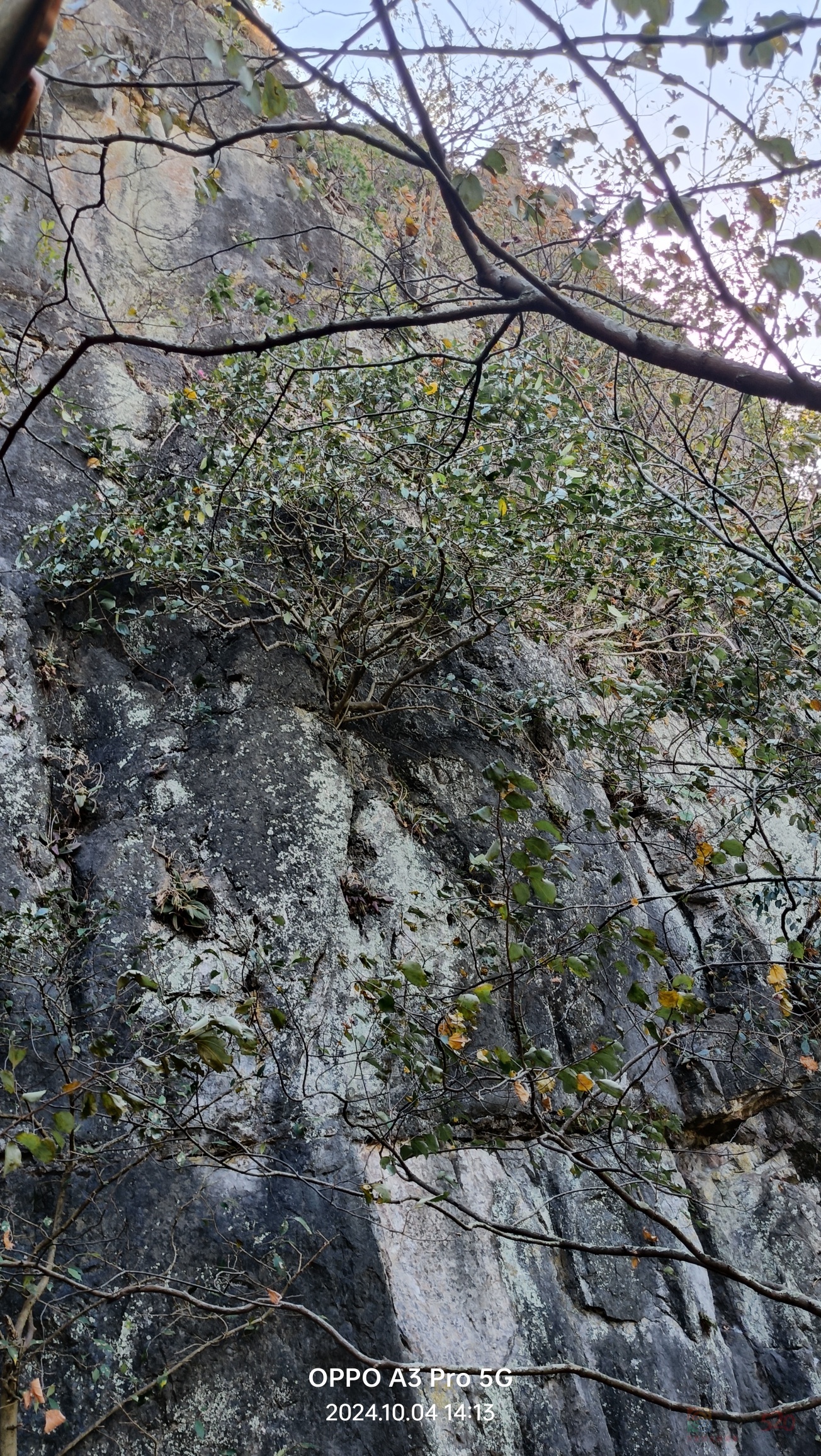 西岭文笔塔与翠微峰400 / 作者:风凌天下 / 帖子ID:317265