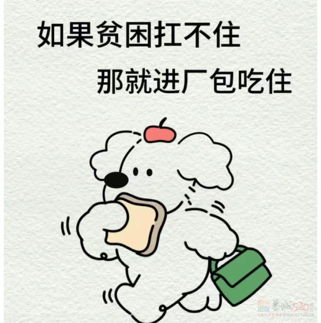 包住宿,满16可安排,国企工厂943 / 作者:招聘部丹丹经理 / 帖子ID:317487 包住宿,满16可安排,国企工厂943 / 作者:招聘部丹丹经理 / 帖子ID:317487
