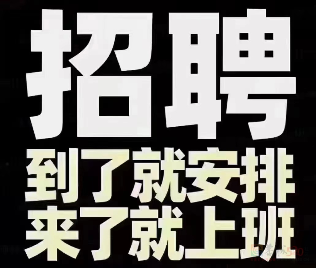 手机壳包装工,无需经验80 / 作者:招聘部丹丹经理 / 帖子ID:317598 手机壳包装工,无需经验80 / 作者:招聘部丹丹经理 / 帖子ID:317598