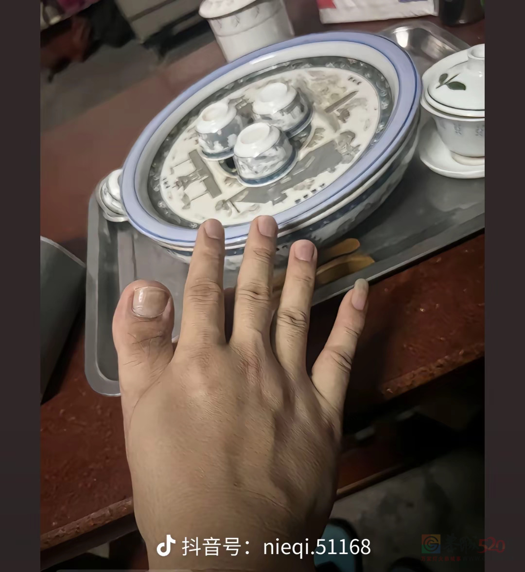 这个走进科学都得拍十几集去了979 / 作者:猛龙 / 帖子ID:317613