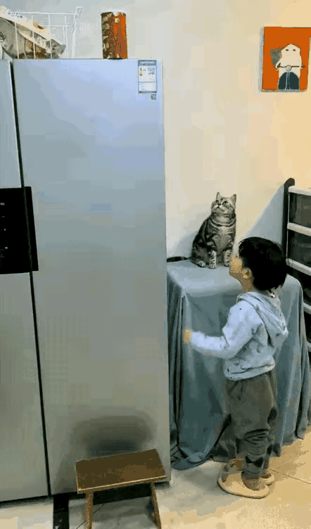 周末愉快！告告，晚安635 / 作者:猛龙 / 帖子ID:317709