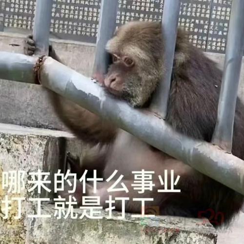包住宿,无需经验,即学即会783 / 作者:招聘部丹丹经理 / 帖子ID:317879 包住宿,无需经验,即学即会783 / 作者:招聘部丹丹经理 / 帖子ID:317879