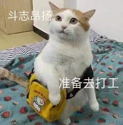 包住宿,住宿免费,水电平摊256 / 作者:招聘部丹丹经理 / 帖子ID:317937 包住宿,住宿免费,水电平摊256 / 作者:招聘部丹丹经理 / 帖子ID:317937