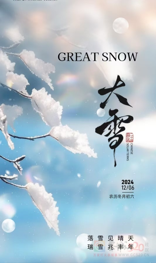 今日大雪447 / 作者:光影記錄 / 帖子ID:318095