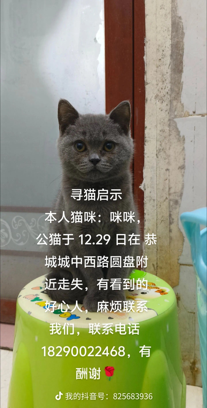 寻猫启示
品种：英短蓝猫
体重：4-5 斤
月龄：3 个多月
颜色：蓝灰色
名字 ...180 / 作者:￠丶清盏孤茶 / 帖子ID:318381