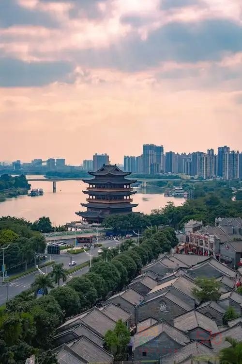 南宁，那片蓬勃的绿与活力之城253 / 作者:快速治疗骨质增 / 帖子ID:318955