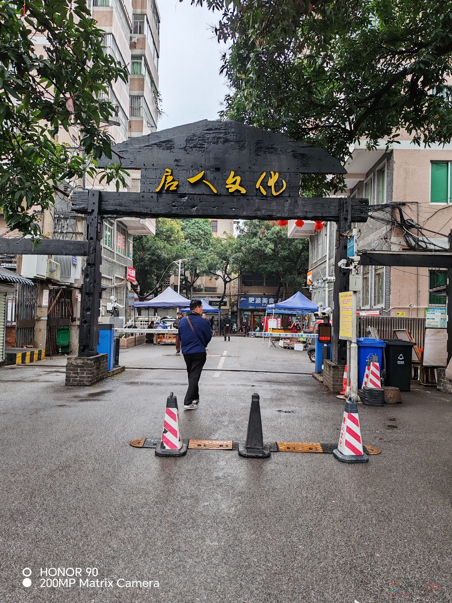 南宁，那片蓬勃的绿与活力之城651 / 作者:快速治疗骨质增 / 帖子ID:318955
