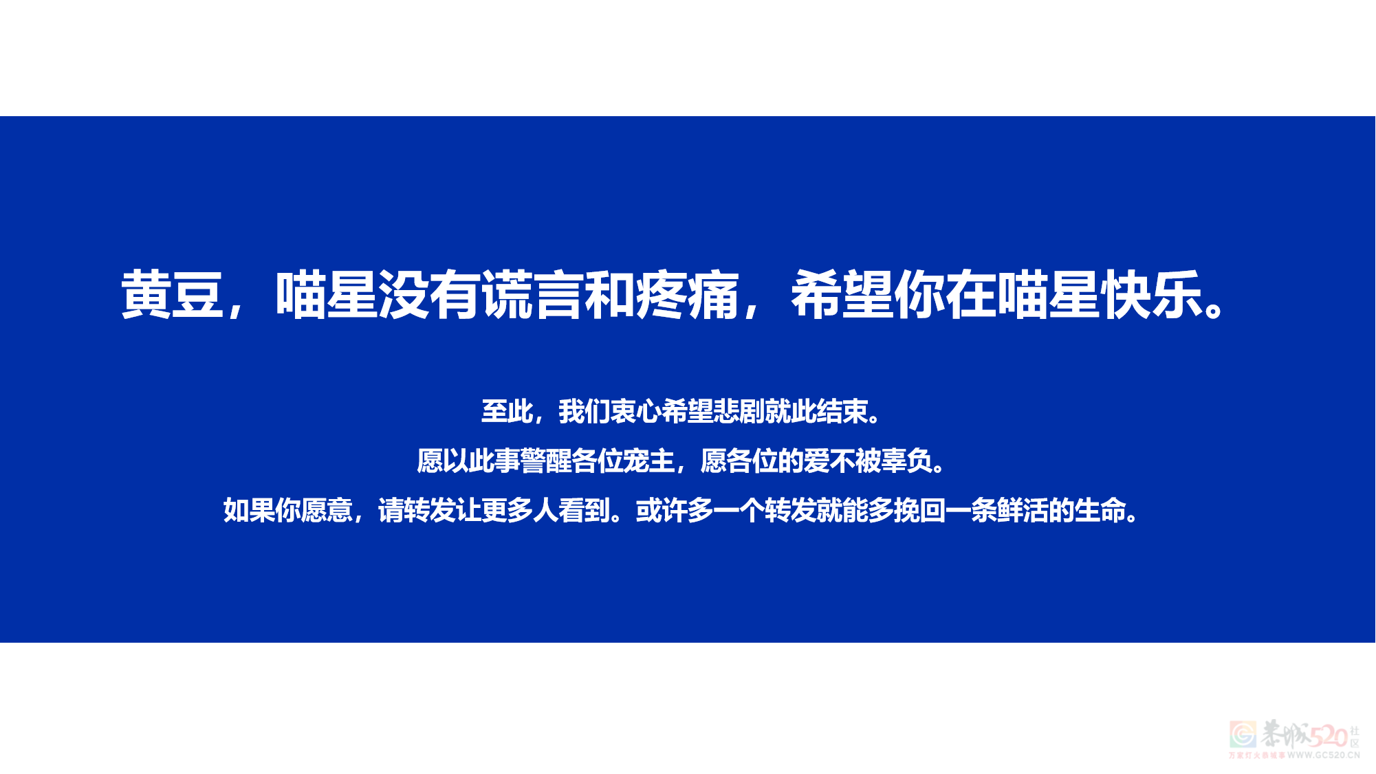 【避雷帖】！气到手抖！腹部手术治坠楼，这医院是屠宰场吧？！210 / 作者:NEARGO / 帖子ID:319071