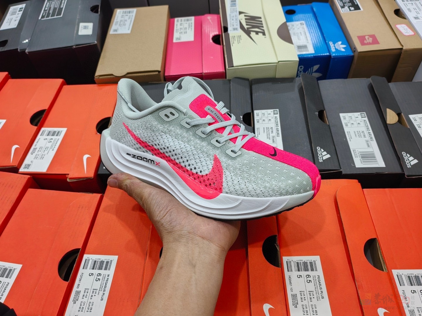 Pegasus Plus 透气跑鞋 145一双26 / 作者:后四位 / 帖子ID:319090
