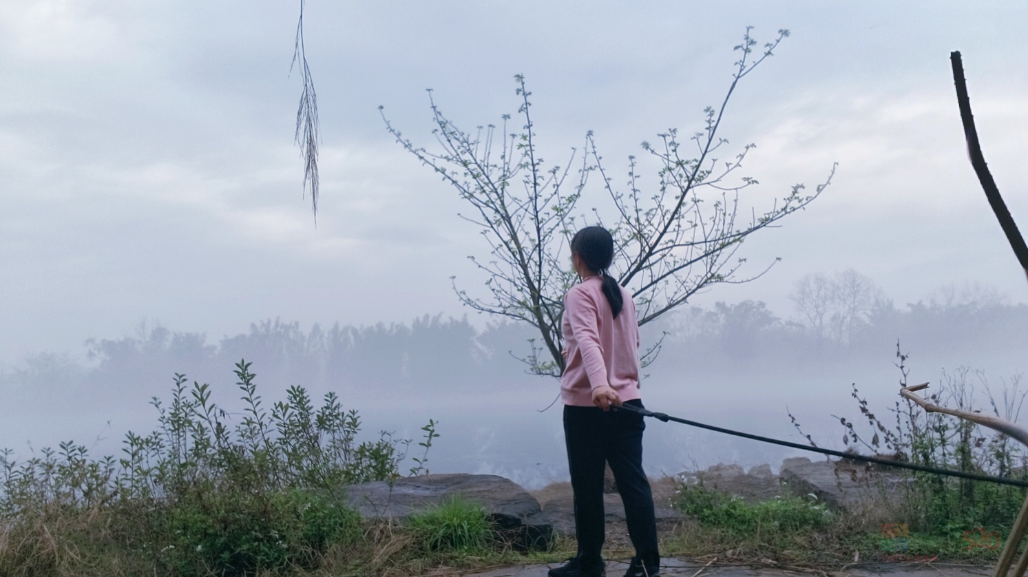 烟雨锁茶江的水南风天来了。370 / 作者:风云客 / 帖子ID:319150