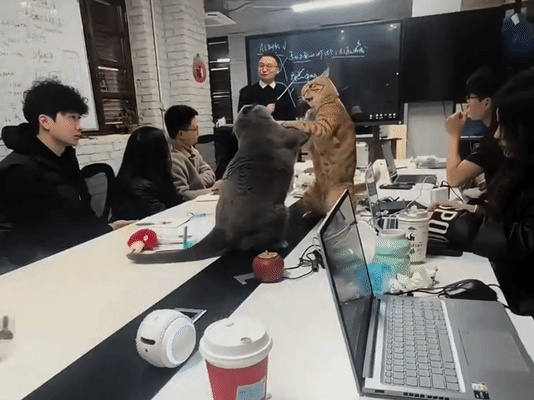 两个老板在会场打架131 / 作者:猛龙 / 帖子ID:319501