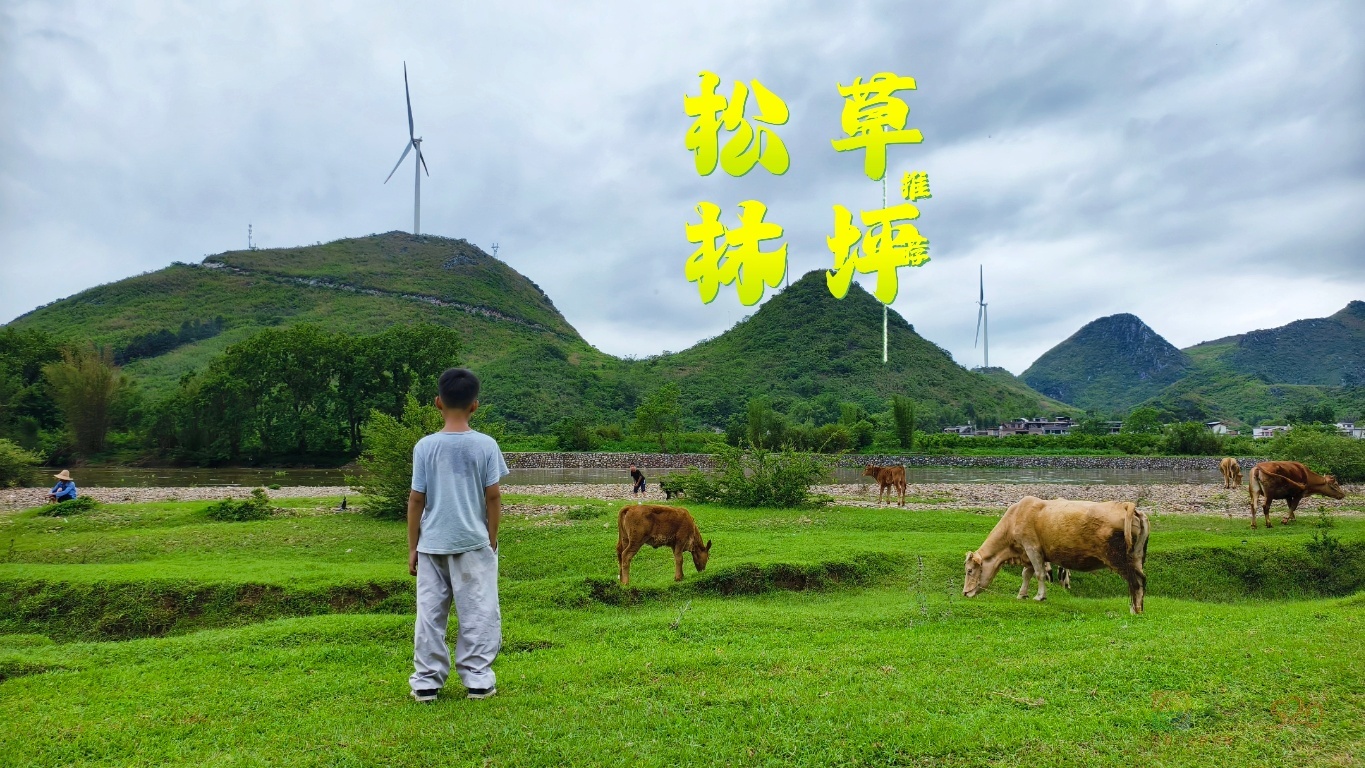 推荐周末休闲好地方——松林草坪666 / 作者:风云客 / 帖子ID:319588