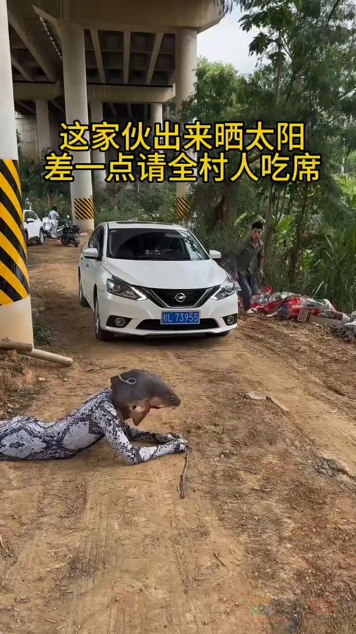 告告！晚安604 / 作者:猛龙 / 帖子ID:319690