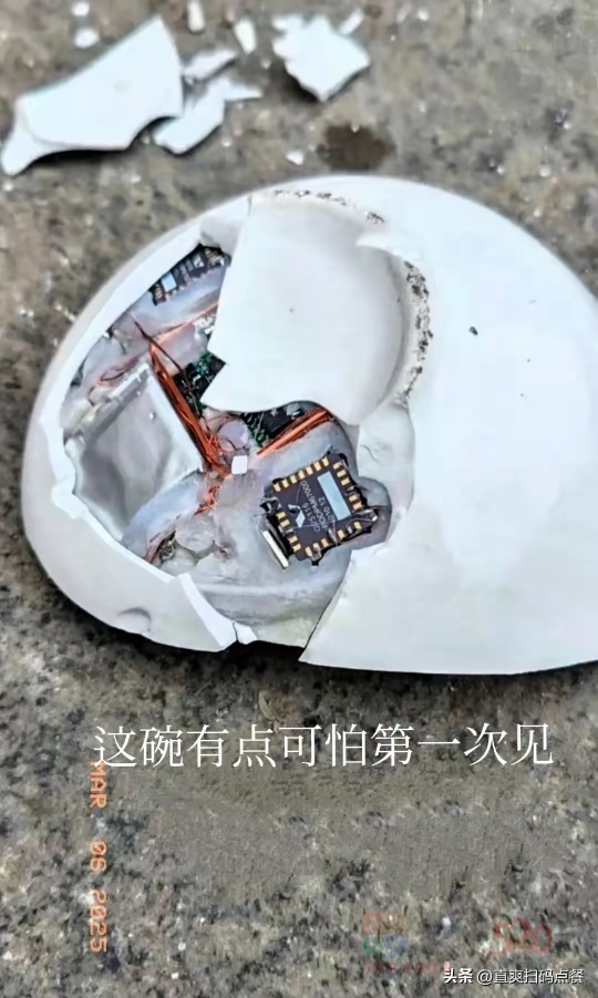 高科技饭碗！逢赌必输393 / 作者:猛龙 / 帖子ID:319934