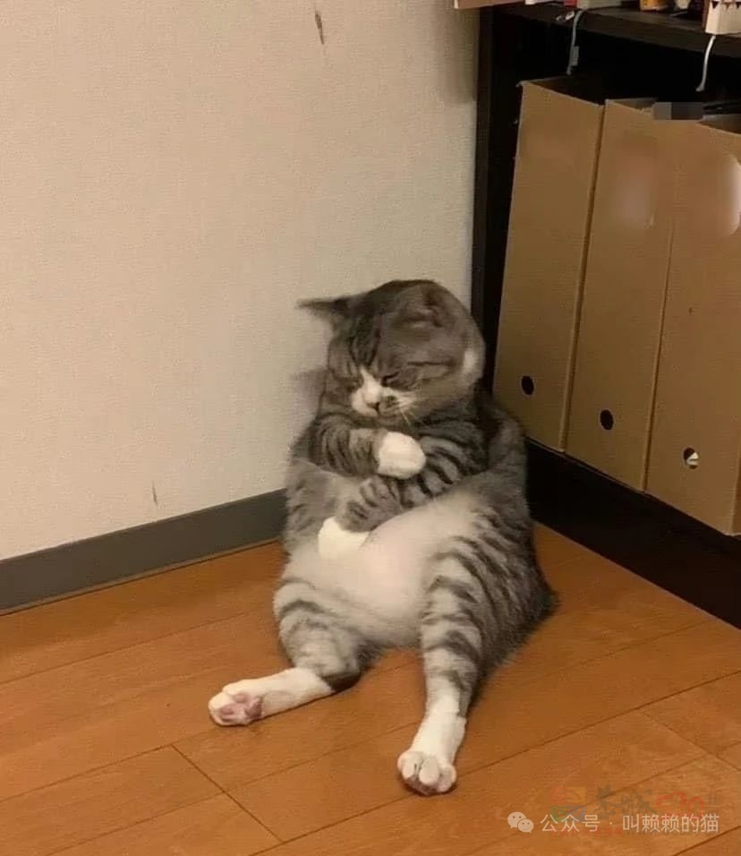 告告！晚安130 / 作者:猛龙 / 帖子ID:319935