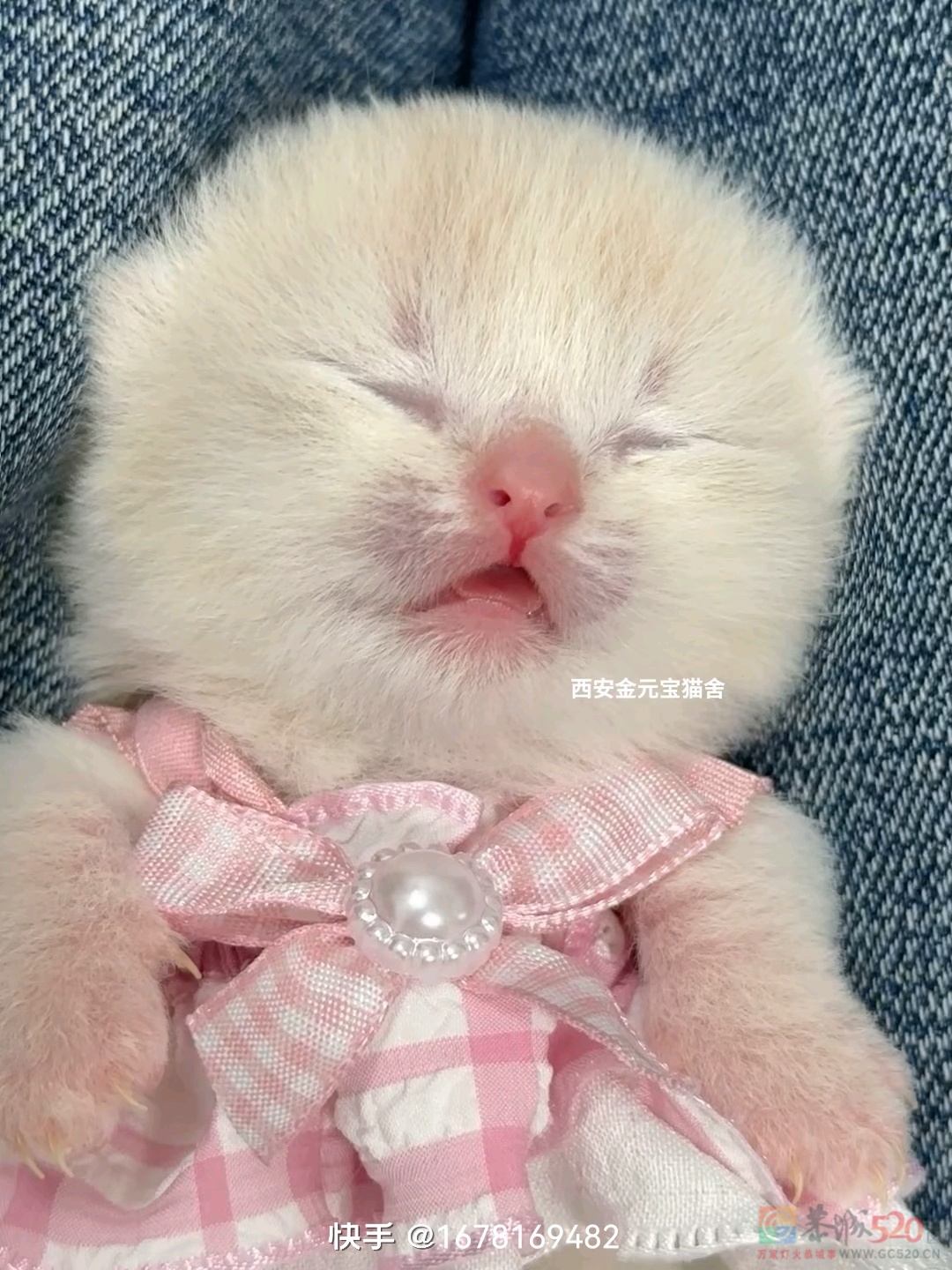 告告！晚安318 / 作者:猛龙 / 帖子ID:320379