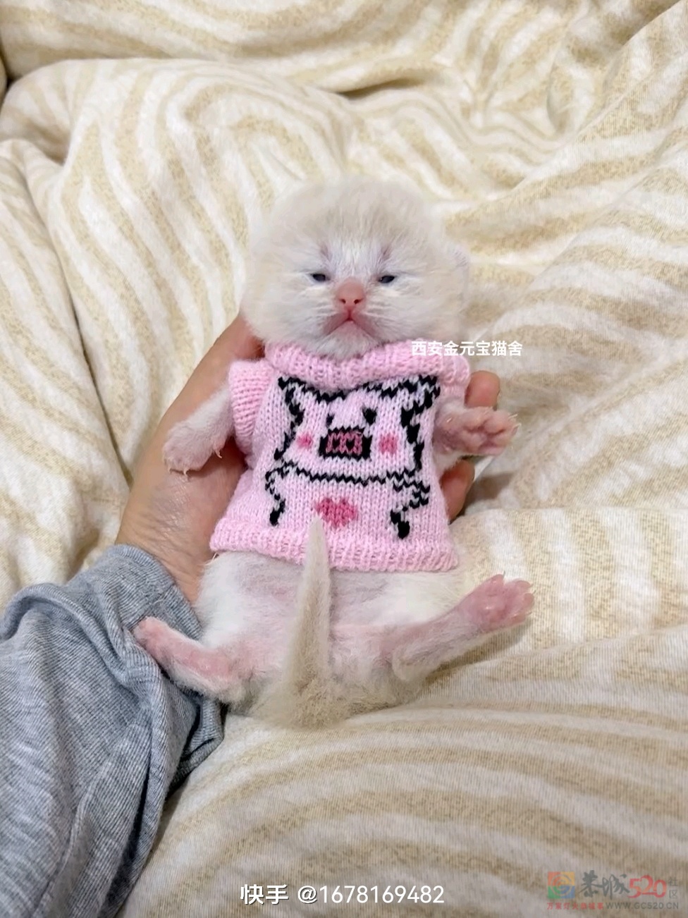 告告！晚安923 / 作者:猛龙 / 帖子ID:320379