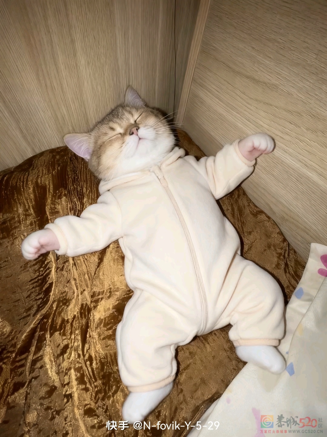 周未愉快！告告，晚安537 / 作者:猛龙 / 帖子ID:320440