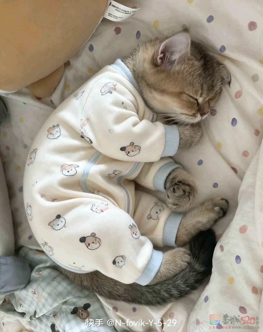 周未愉快！告告，晚安580 / 作者:猛龙 / 帖子ID:320440