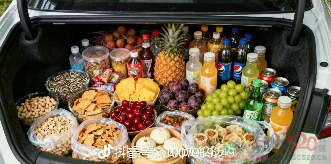 看到别人挑战二广高速准备的物资414 / 作者:猛龙 / 帖子ID:320503