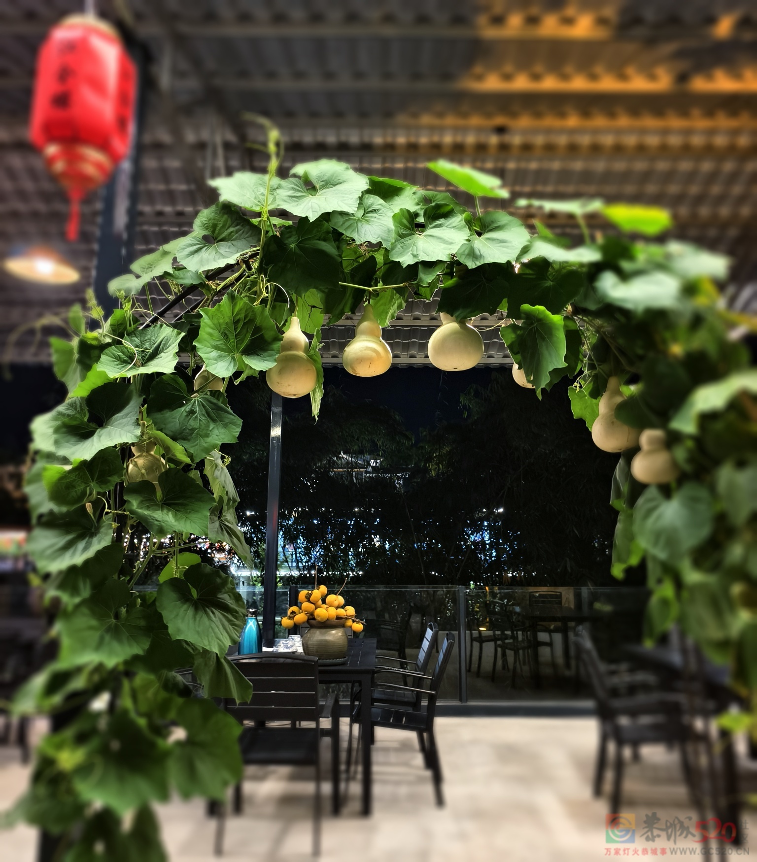 月柿红了，你来恭城了吗？470 / 作者:风云客 / 帖子ID:320670